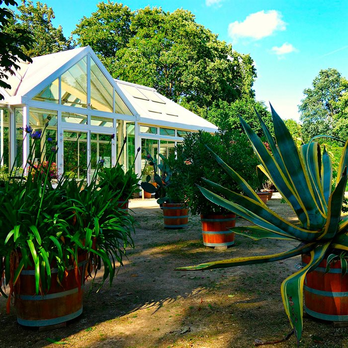 Tagglas - Soldæmpning Tagglas - Soldæmpning